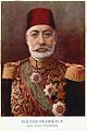 Portrait of Mehmed V