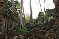 Ta Prohm. Angkor, Cambodia (16298655946).jpg