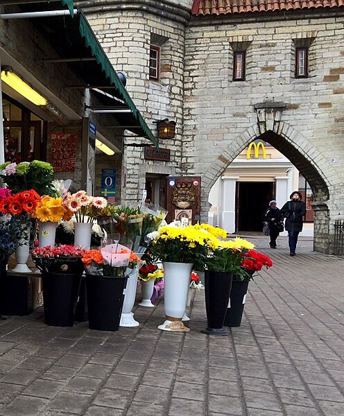 File:Tallinn, Estonia (April 3, 2014) street scene - 4.jpg