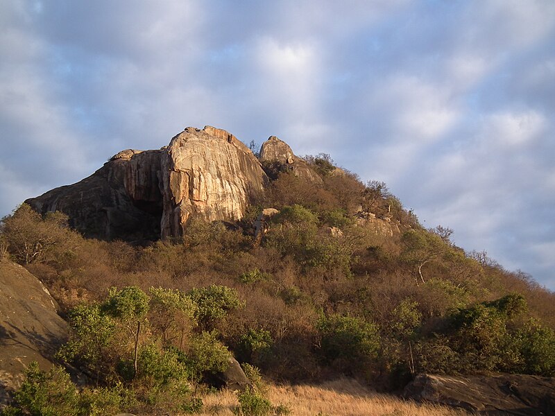 File:Tanzania 2714 Nevit.jpg