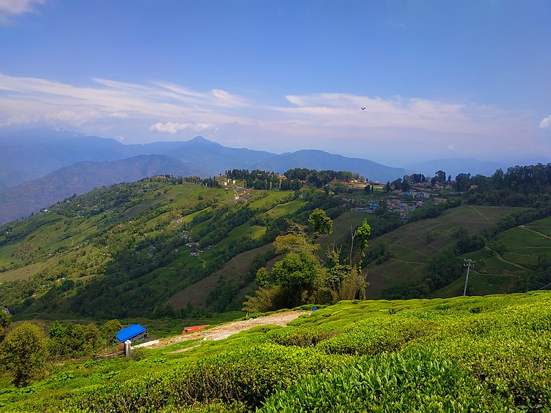 Darjeeling - India