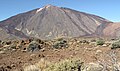 * Nomination: Volcano Teide on the island of Tenerife --Cb22hh 12:42, 23 December 2011 (UTC) * * Review needed