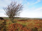 A domb, Stoke Ridge, Stoke Pero