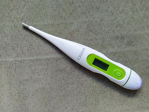 Body thermometer
