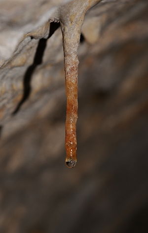 Stalactite inside the Salbert fortifications.