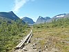 Trail towards Kebnekaise: fell birch and fell heath give way to the barren slopes