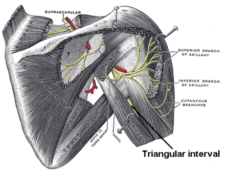 Intervalo triangular