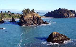 Trinidad State Beach State beach in Humboldt County, California, United States