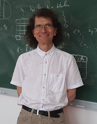 <span class="mw-page-title-main">Tuna Altınel</span> Turkish mathematician