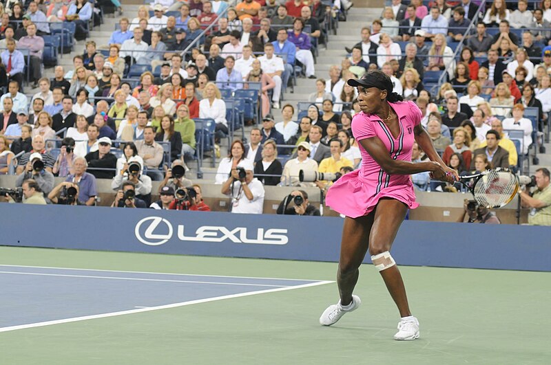 File:US Open 2009 190.jpg