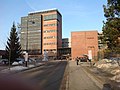 Kristiansand Üniversitesi şehir kampüsü