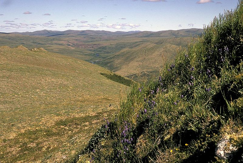 File:Upper Andreafsky River Yukon Delta NWR.jpg