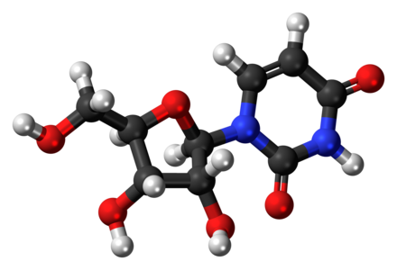 Ball-and-stick model of the uridine molecule