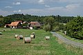 Čeština: Vesnice Větrov u Vysokého Újezda na Benešovsku English: The village of Větrov near Vysoký Újezd in Benešov Region, CZ