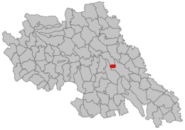 Valea Lupului - Carte