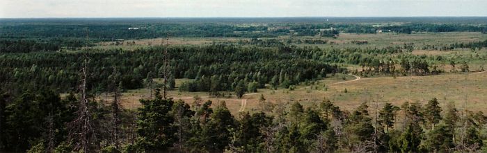 The area of the fire, a few years later, as seen from Torsburgen.