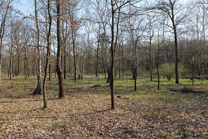 File:Volkspark Wuhlheide 2021-04-20 16.jpg