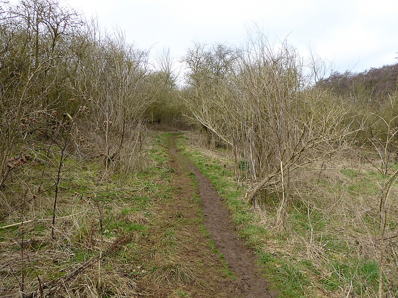 File:Wadenhoe Marsh and Achurch Meadow 2.jpg