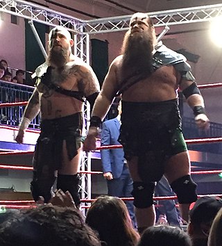 <span class="mw-page-title-main">The Viking Raiders</span> Professional wrestling stable