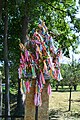 Hutsul wedding tree in Ukraine (Kolomyia area)