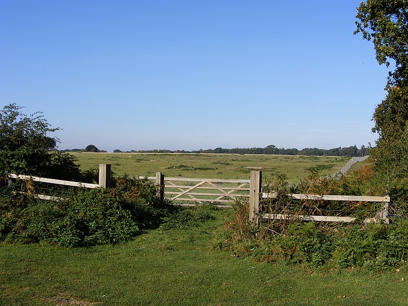 File:Westleton Walks - geograph.org.uk - 1733814.jpg