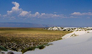 View from a dune at White Sands