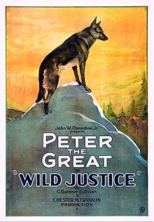 Wild Justice poster.jpg 