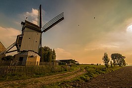 Blauwe Molen