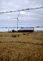 Wolf Ridge Wind Farm