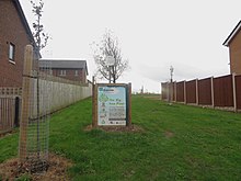 Trees planted on Westrigg Road, Carlisle as part of the scheme Young trees, Westrigg Road, Carlisle (geograph 4264775).jpg