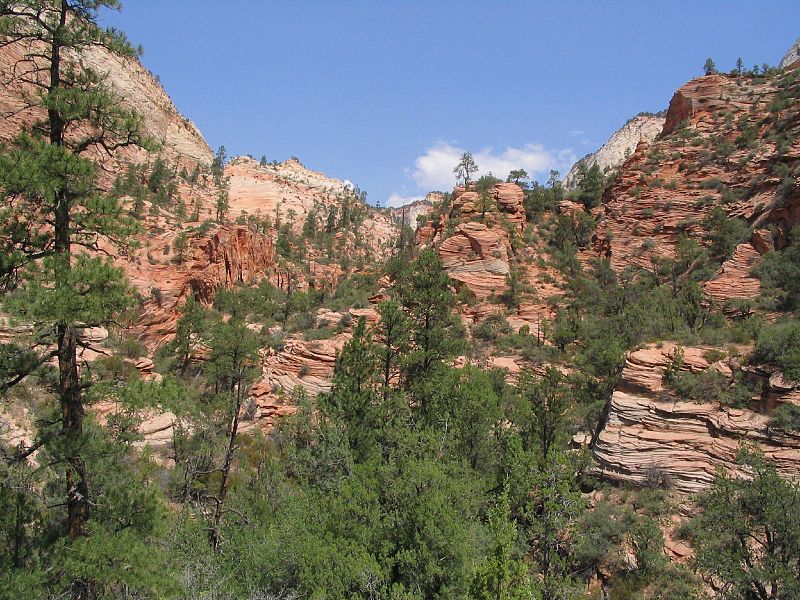 File:Zion-Mount Carmel Highway, Zion National Park, Utah (1025936184).jpg