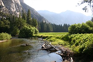 Kings Canyon National Park