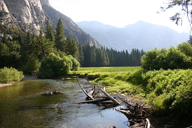 The South Fork Kings River at Zumwalt Meadow