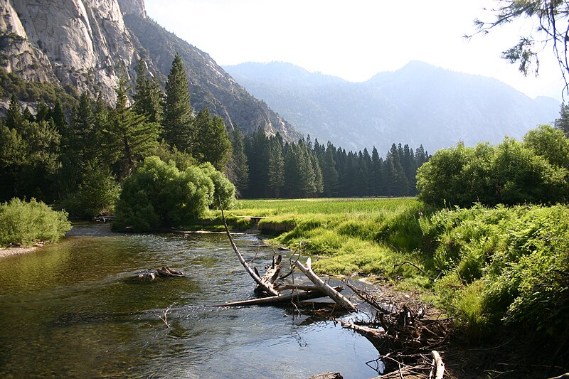 File:Zumwalt Meadow Morning.jpg