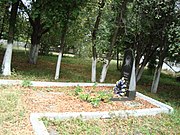 Могила радянського льотчика Чайкіна П.І., який загинув у роки ВВВ. Село Порадівка..JPG