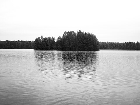 Малое Кирилловское озеро. 2010 год
