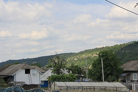 Дністровський каньйон, село Перебиківці