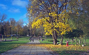 Центральний парк культури та відпочинку