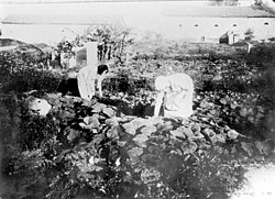 קטיף ירקות בחוות העלמות, 1912