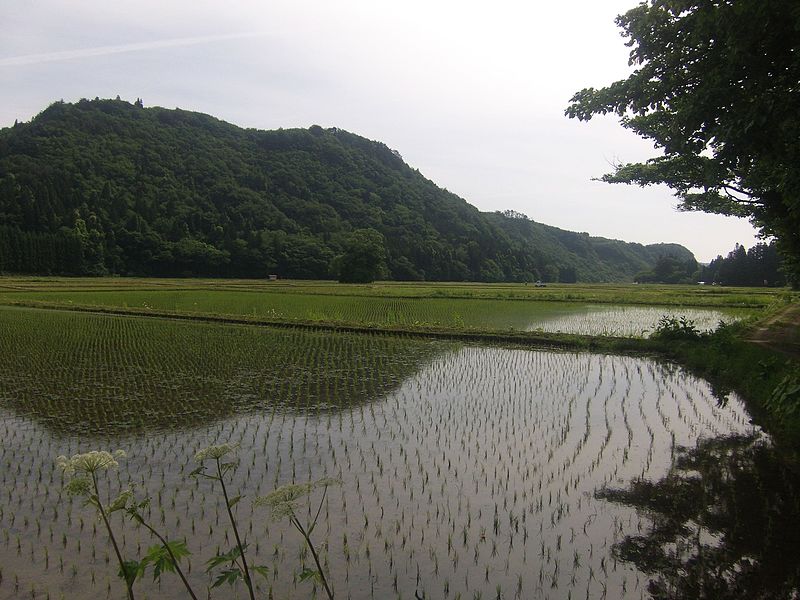 File:骨寺村荘園（一関本寺）1.jpg