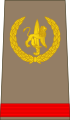 Soldat de 1ère classe (Congolese Ground Forces)[13]