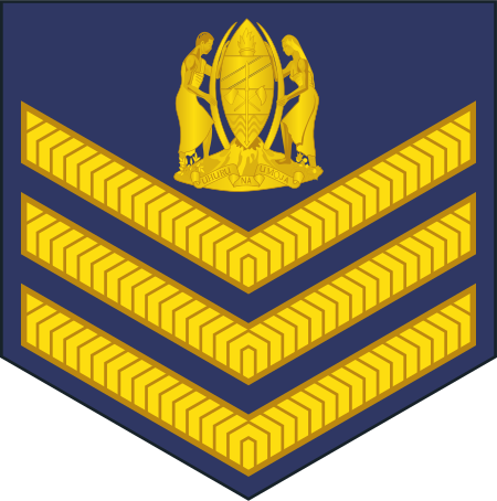 ไฟล์:04-Tanzania_Air_Force-SSG.svg