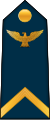 04.CAAF-SGT.svg 