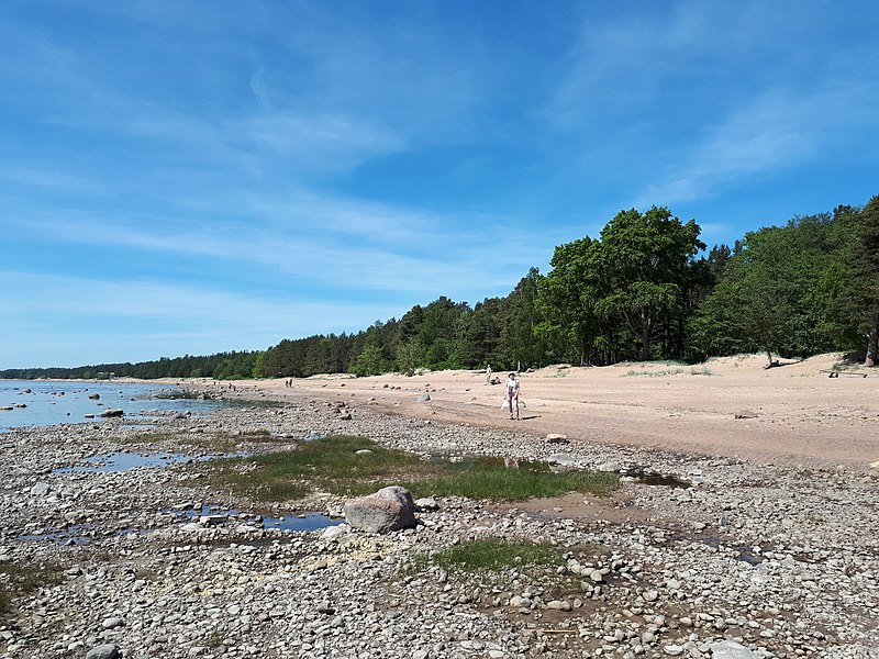 File:0580Aa. Komarovsky Coast in St. Petersburg.jpg