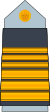 14. AAF-COL.svg 