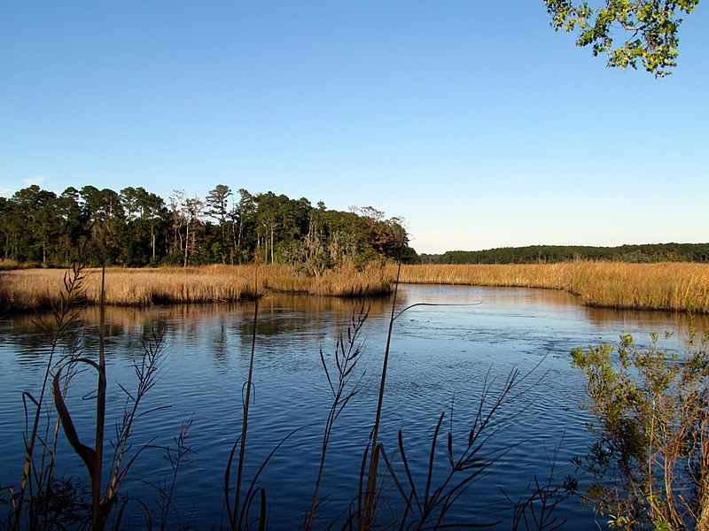 File:14 Bennetts Point RD Green Pond SC 6841 (12397387905).jpg