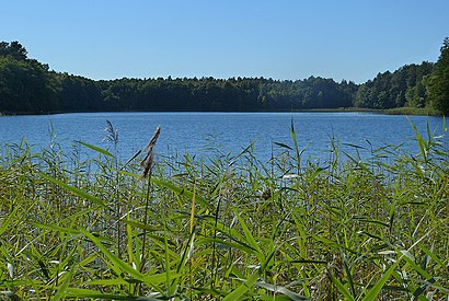 So kommt man zu dem Rochowsee mit den Öffentlichen - Mehr zum Ort Hier