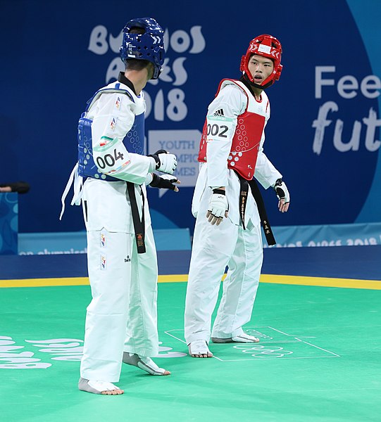 File:2018-10-11 Final (Taekwondo Boys +73kg) at 2018 Summer Youth Olympics by Sandro Halank–027.jpg