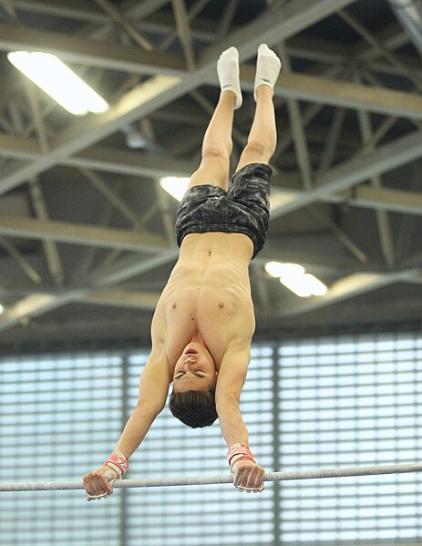 File:2019-05-24 Budapest Cup training horizontal bar (Martin Rulsch) 240.jpg