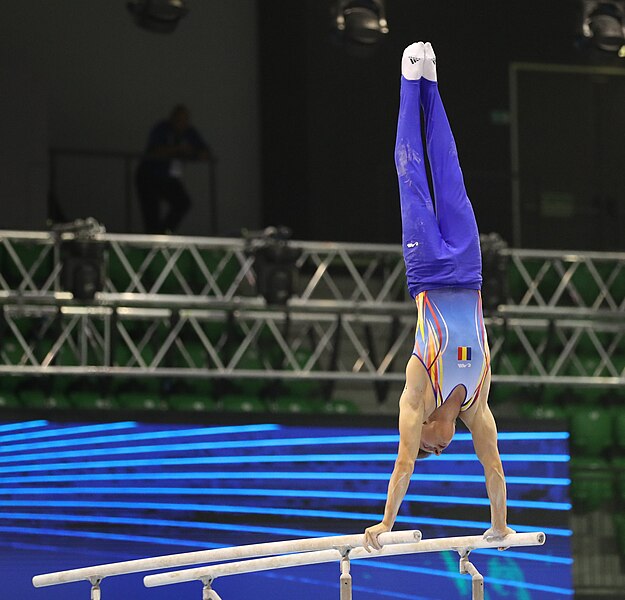 File:2019-06-27 1st FIG Artistic Gymnastics JWCH Men's All-around competition Subdivision 3 Parallel bars (Martin Rulsch) 181.jpg